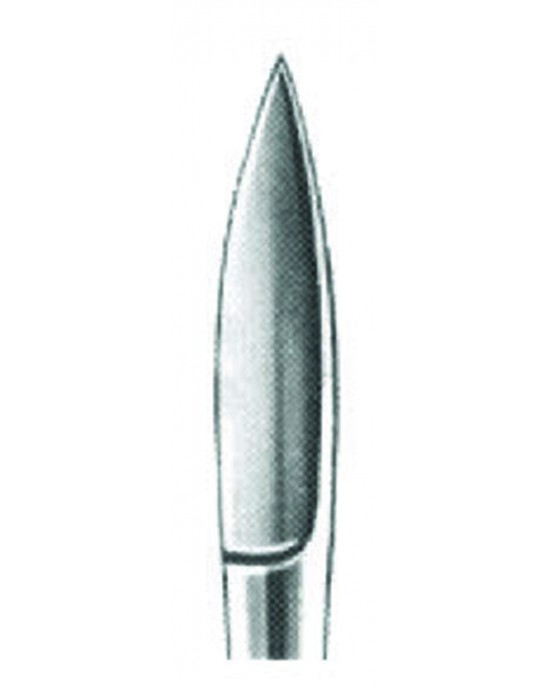 MS- 01-1016-12
