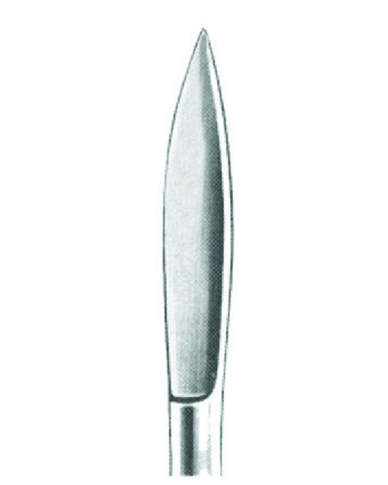MS- 01-1016-16