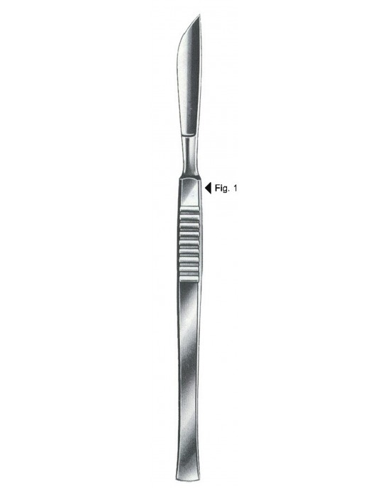 MS- 01-1018-01