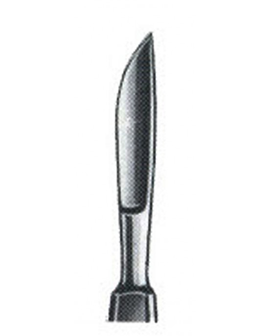 MS- 01-1019-01