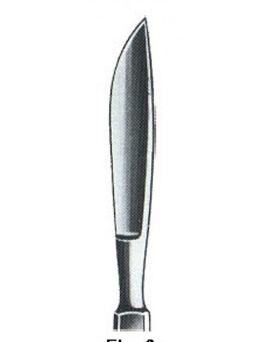 MS- 01-1019-06