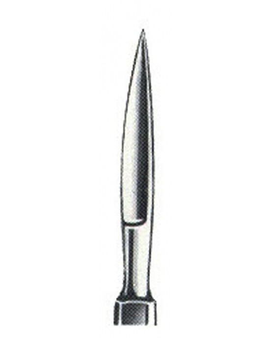 MS- 01-1019-09