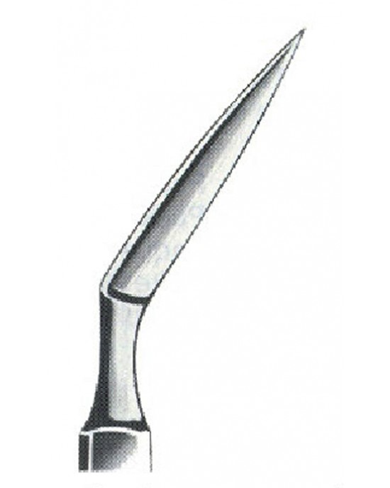 MS- 01-1020-04