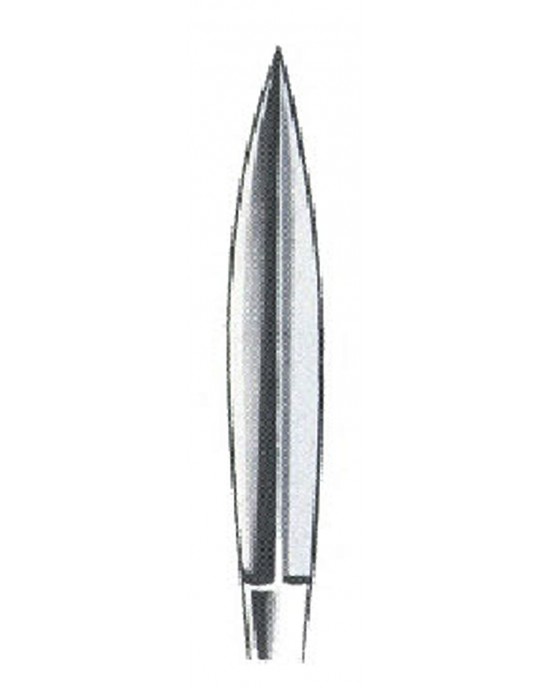 MS- 01-1022-03