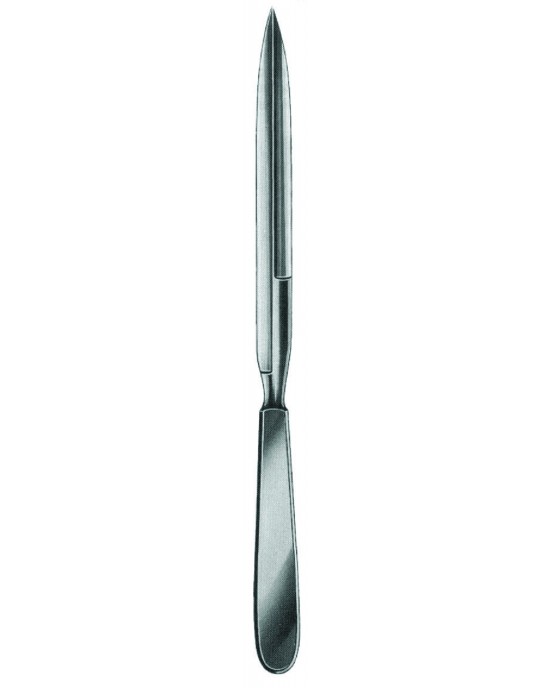 MS- 01-1031-19