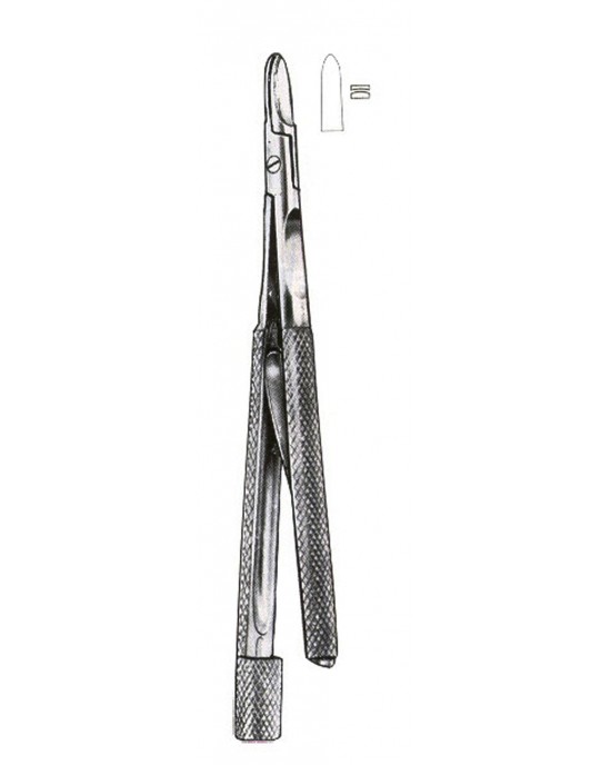 MS- 01-1034-09