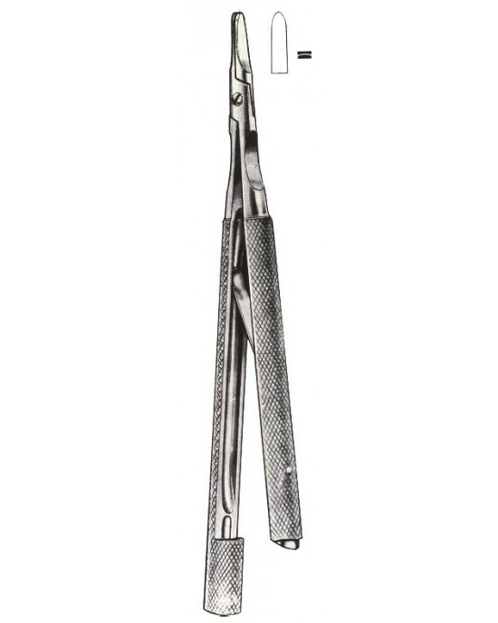 MS- 01-1037-13