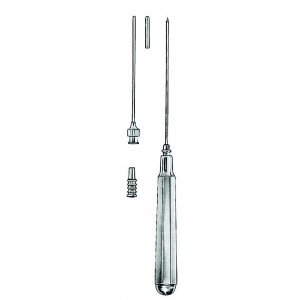 MS- 03-1256-19