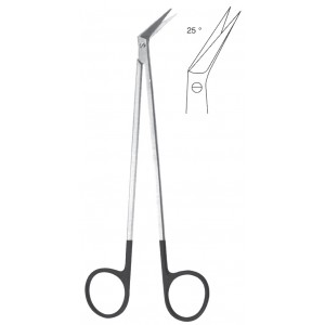 MS- 05-1631-19