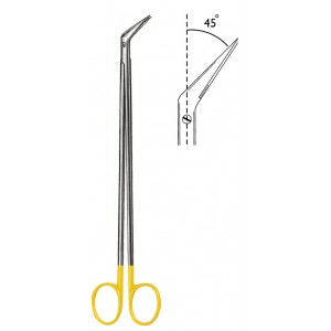 MS- 06-1856-19