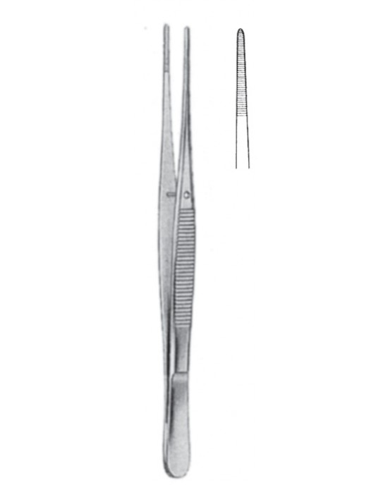 MS- 08-2008-15