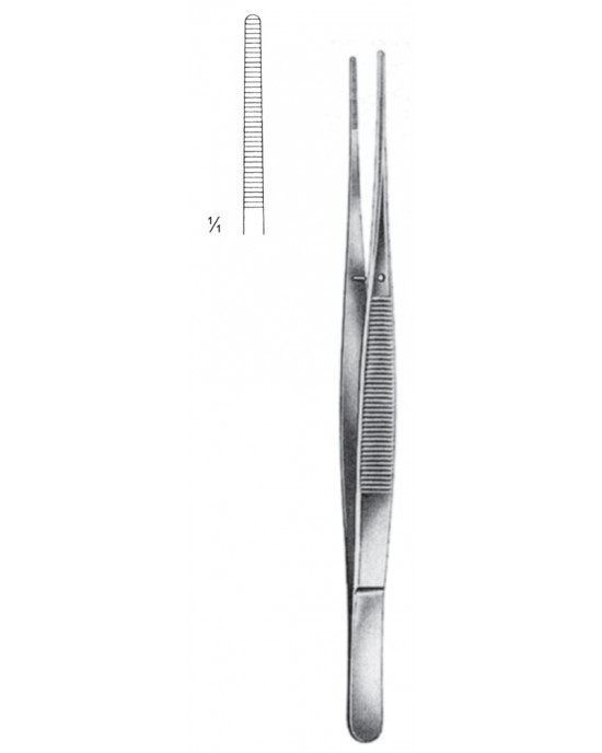 MS- 08-2020-25