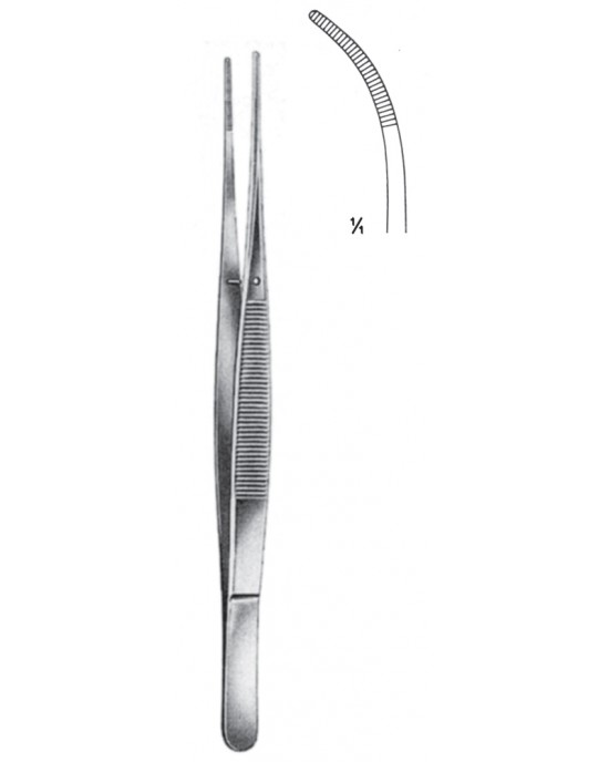 MS- 08-2021-25