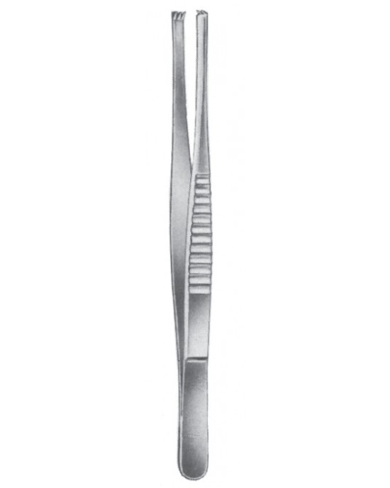 MS- 08-2065-18