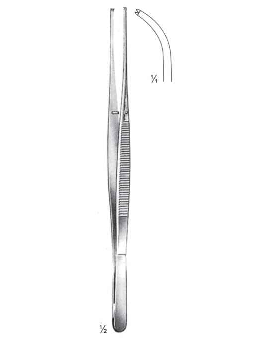 MS- 08-2079-17