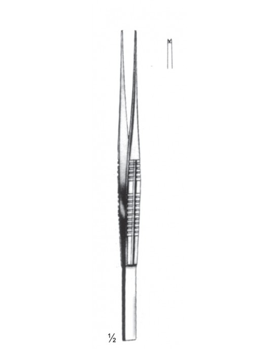 MS- 08-2084-15