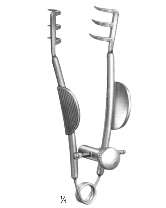 MS- 16-4591-6