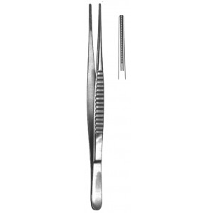 MS- 19-5509-20