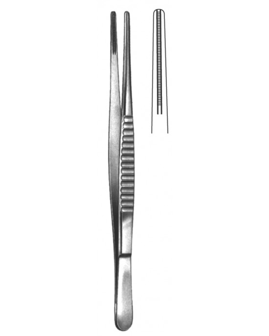 MS- 19-5511-24