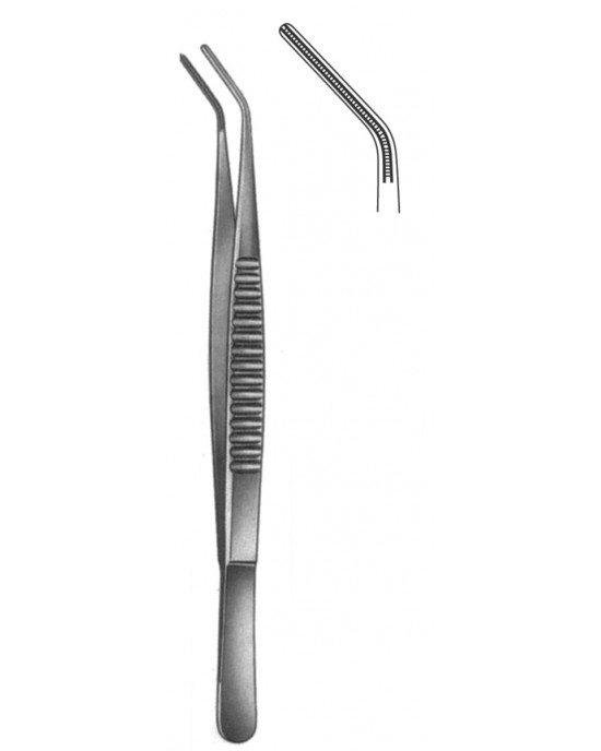 MS- 19-5513-16
