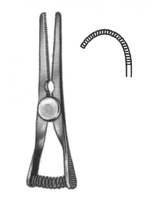 MS- 19-5516-03