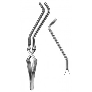 MS- 19-5534-01