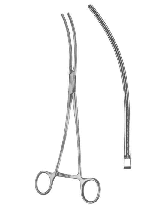 MS- 19-5547-33