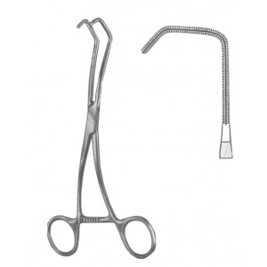MS- 19-5600-01