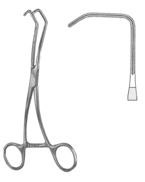 MS- 19-5600-02