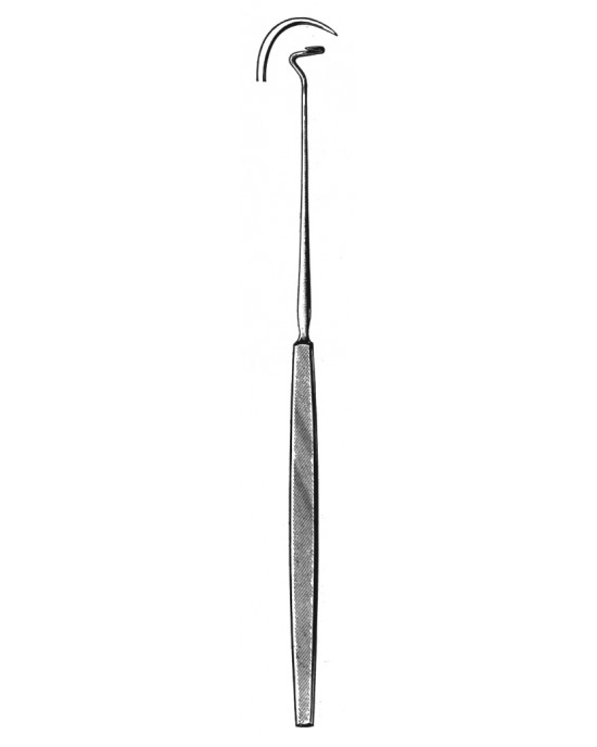 MS- 20-6168-02