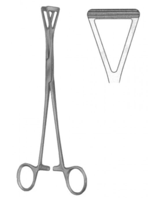 MS- 24-7117-23