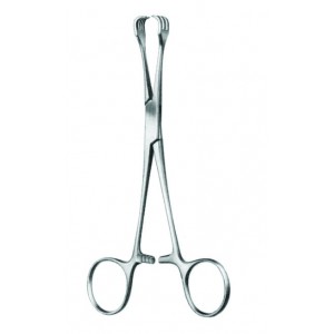 MS- 31-8606-15