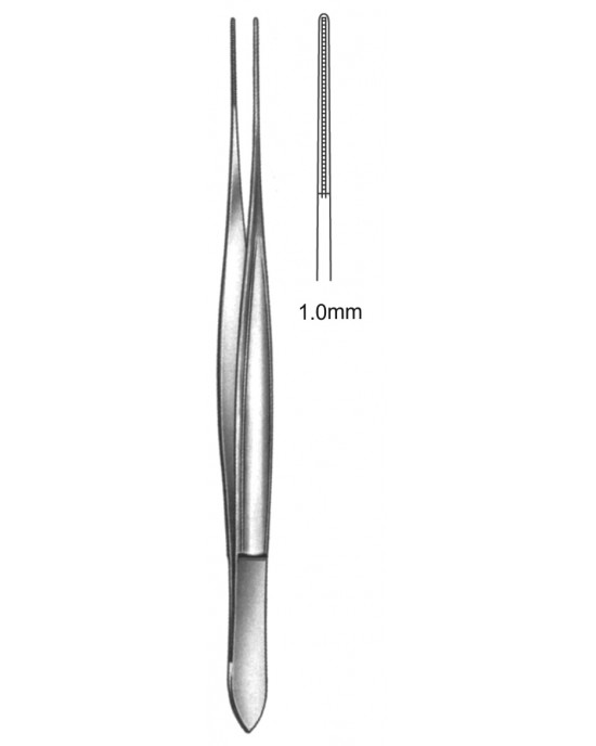 MS- 19-5504-18