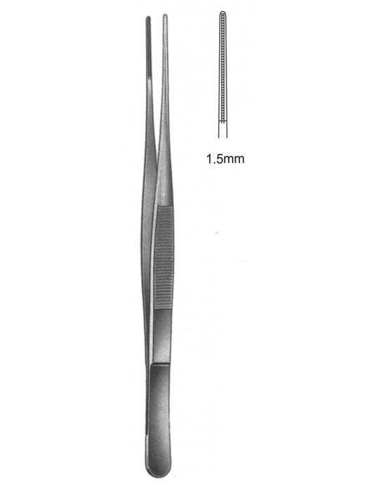 MS- 19-5506-19