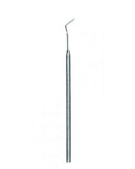 Probe 